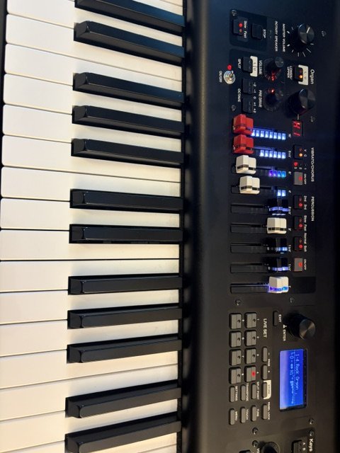 Yamaha YC 73 de segunda mano · Foto 1 de 8 · Madrid · 1900 €
