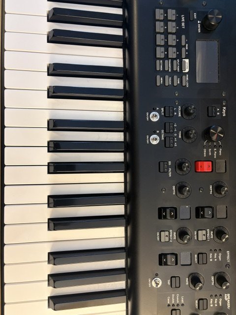 Yamaha YC 73 de segunda mano · Foto 2 de 8 · Madrid · 1900 €