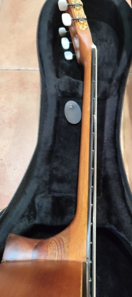 Guitarra Hermanos Bros G10 especial