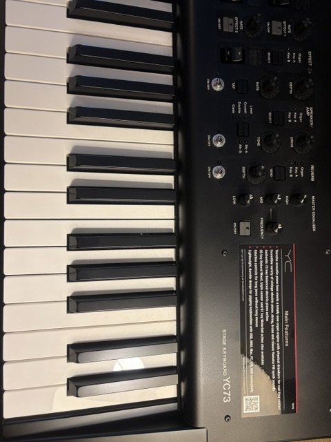 Yamaha YC 73 de segunda mano · Foto 3 de 8 · Madrid · 1900 €