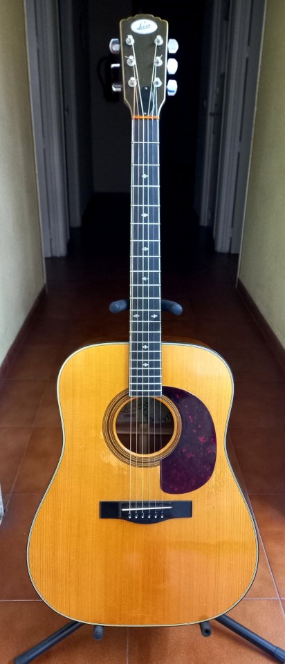 Guitarra Levin W32 del 1974
