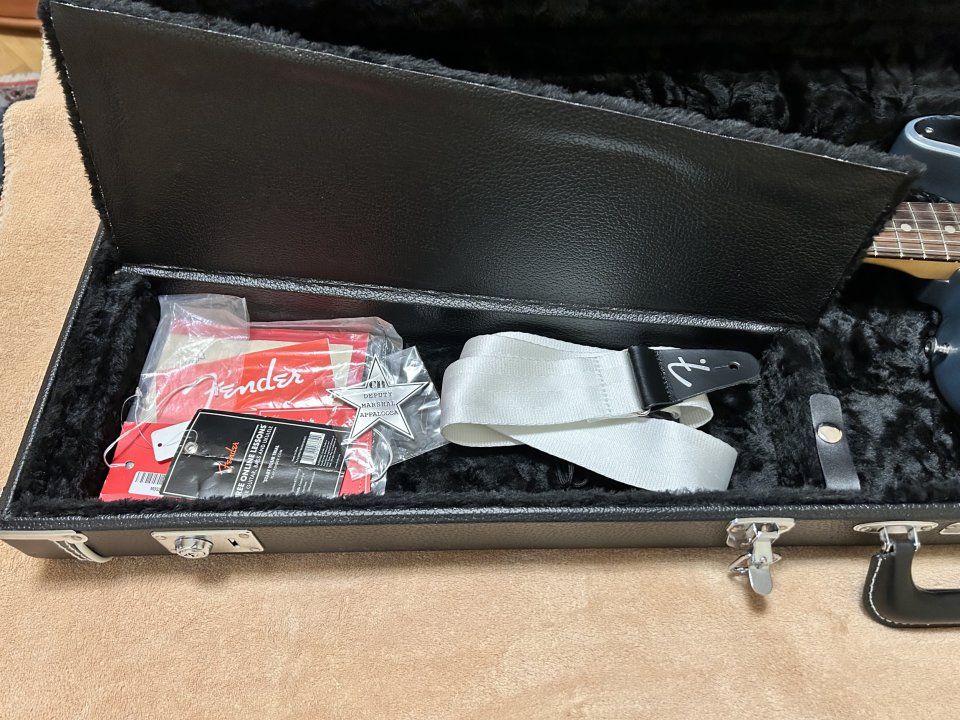 Fender Telecaster “Artist signature”  Chrissie Hynde