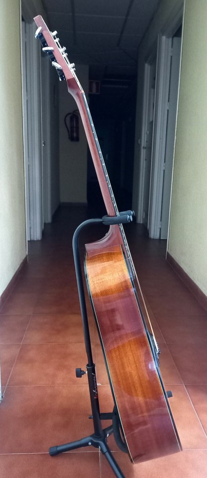 Guitarra Levin W32 del 1974