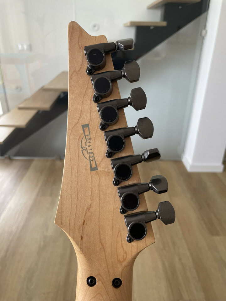 Ibanez RG 7620 "Valhalla" Swirl, 2001