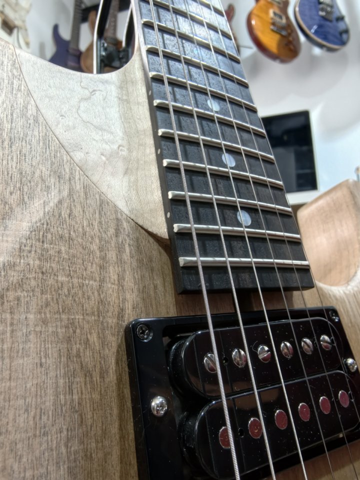 Vendo Washburn N4 Authentic USA