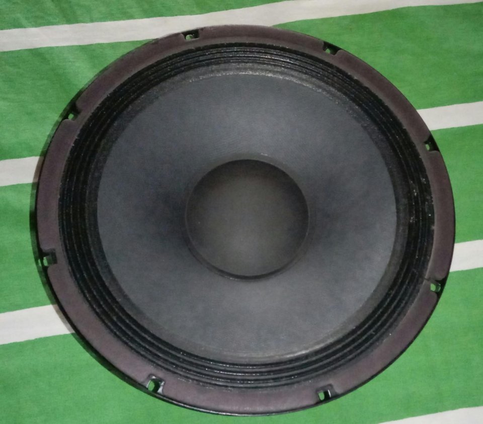 Altavoz EMINENCE ALPHA-10A de 10" pulgadas 8 omnios ohm ohms de segunda mano · Foto 2 de 2 · A Coruña · 60 €