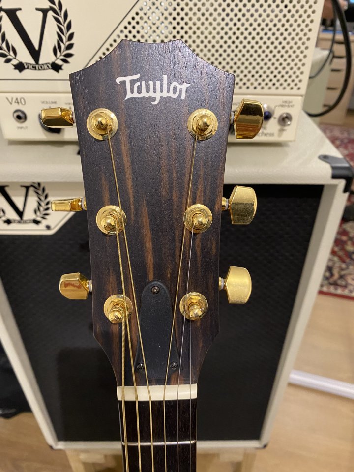 Guitarra Taylor 214ce DLX nueva