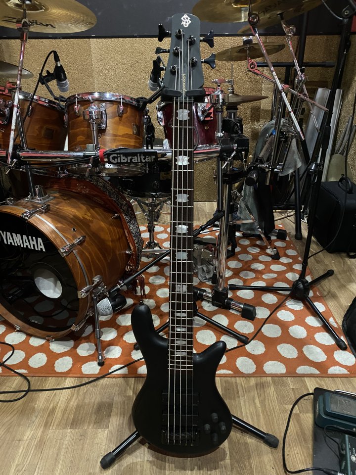 Bajo Spector 5 cuerdas