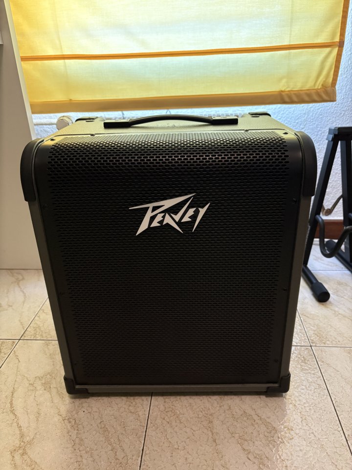 Peavey max 100 (Bajo)