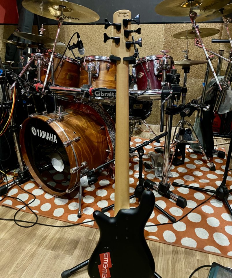 Bajo Spector 5 cuerdas