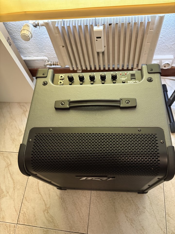 Peavey max 100 (Bajo)