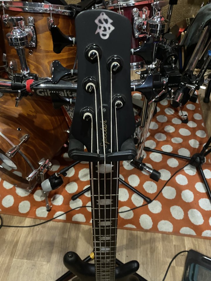 Bajo Spector 5 cuerdas