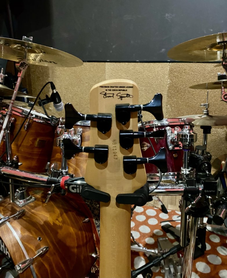 Bajo Spector 5 cuerdas