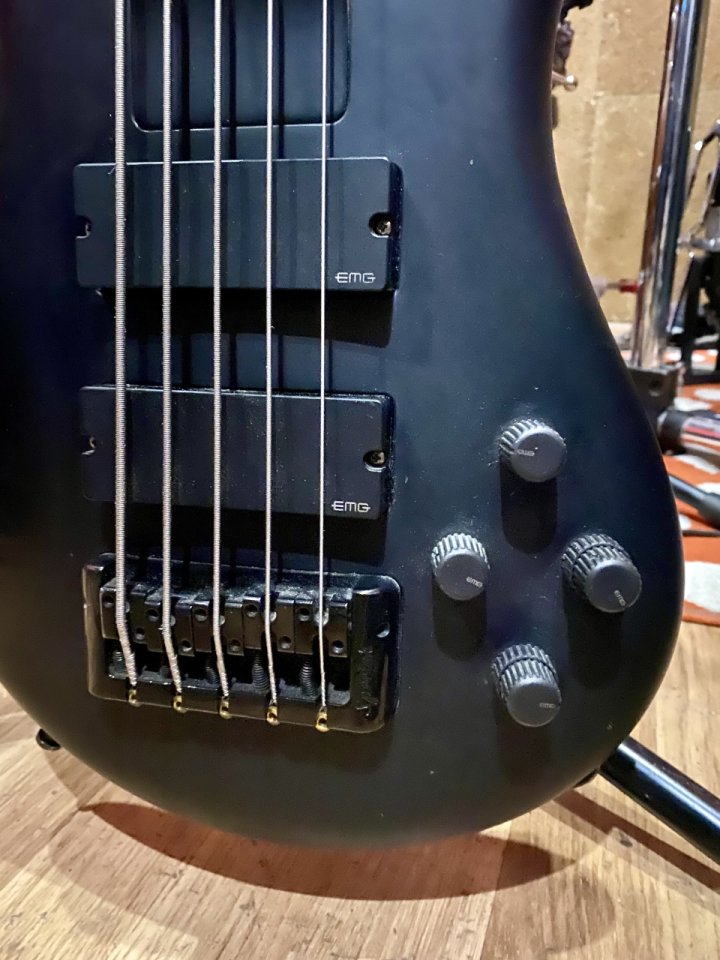 Bajo Spector 5 cuerdas