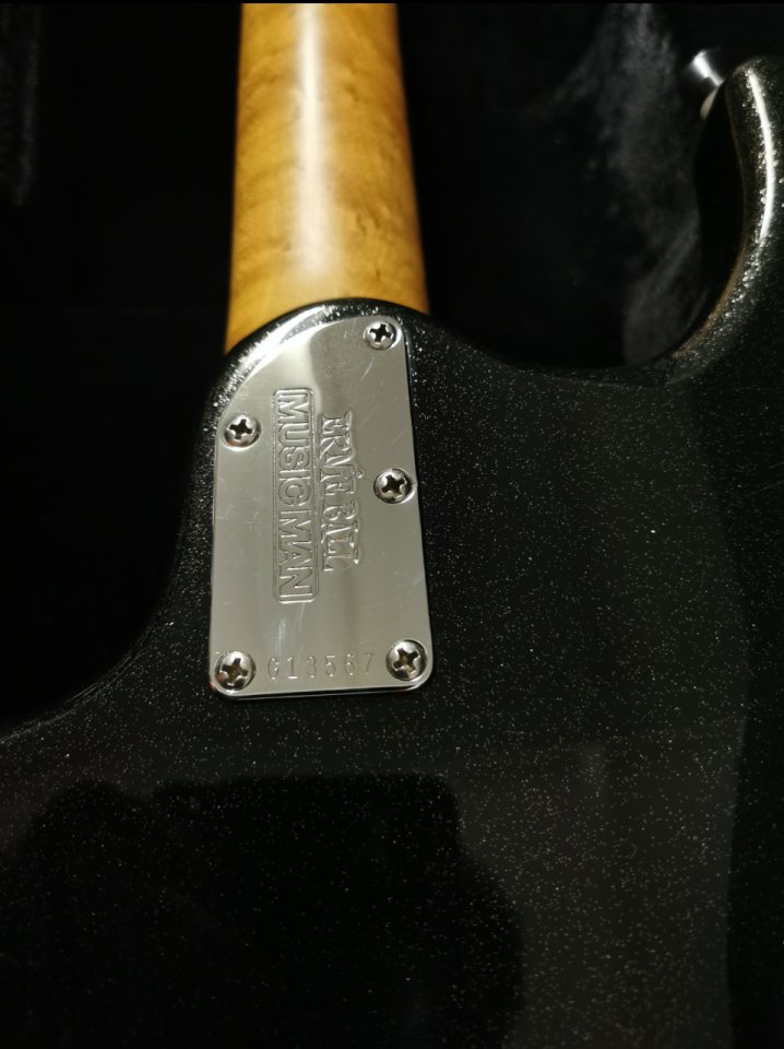 Music man Silhouette 2001