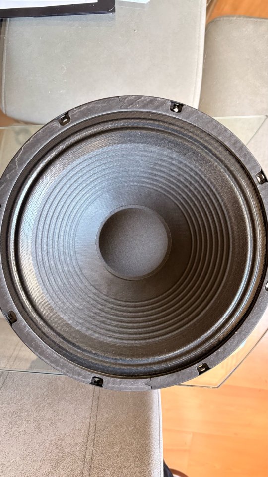 Pareja de Altvoces Eminence