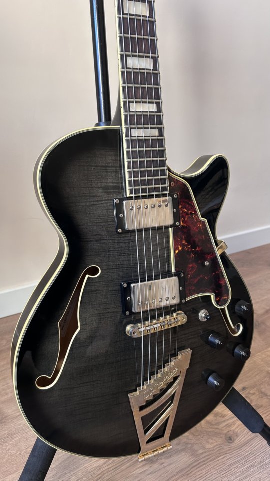 D’Angelico Excel SS