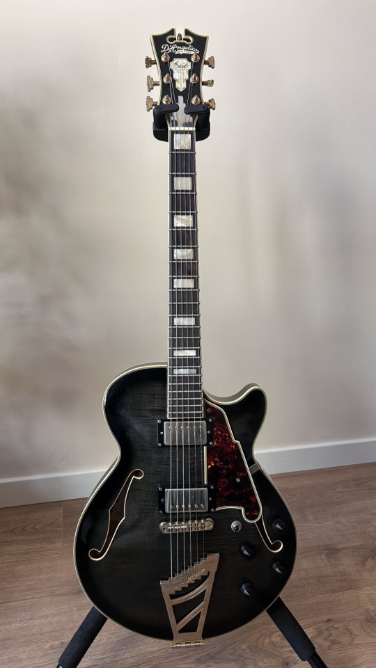 D’Angelico Excel SS