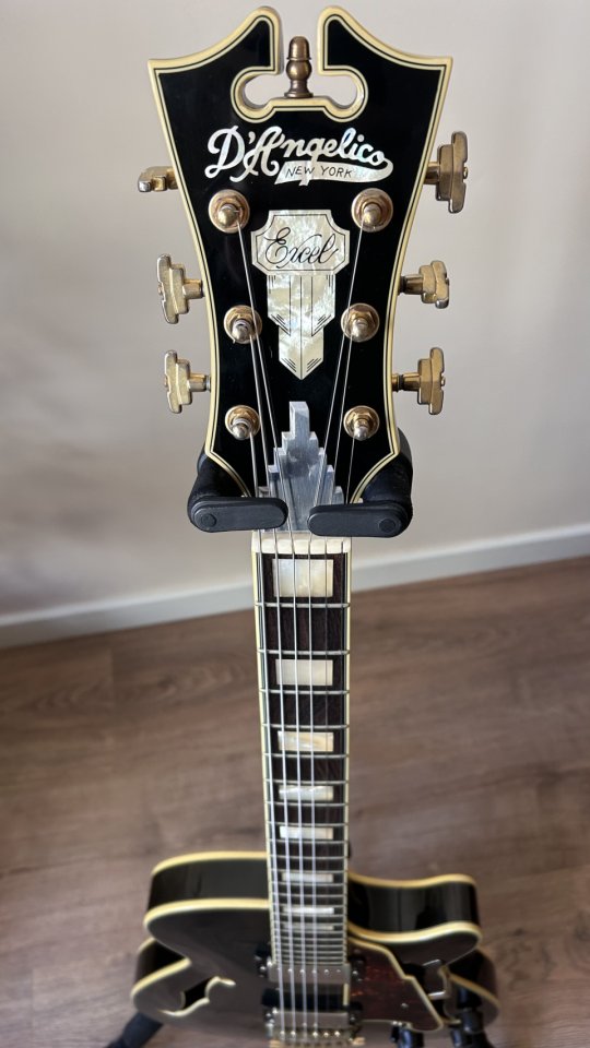 D’Angelico Excel SS