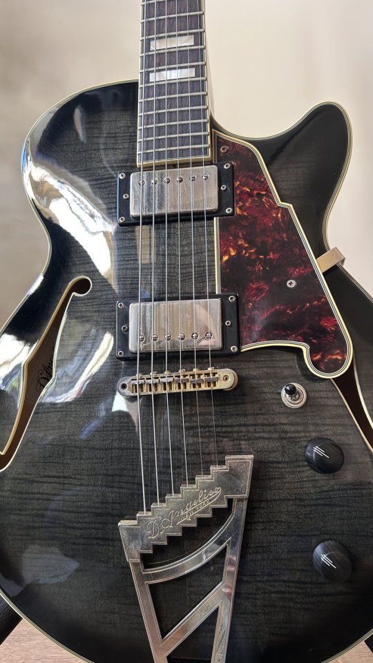 D’Angelico Excel SS