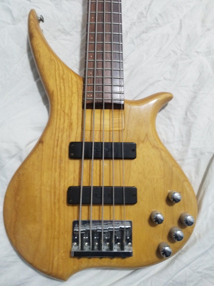 Bass tune twb-5 serie wood custom