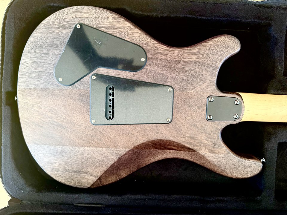 PRS CUSTOMIZADA de segunda mano · Foto 2 de 8 · Alicante · 725 €