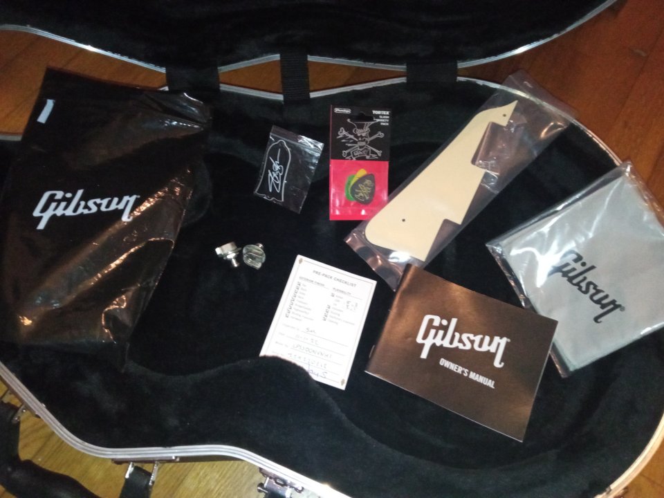 Gibson Les Paul Slash November Burst 2022 de segunda mano · Foto 10 de 10 · Pontevedra
