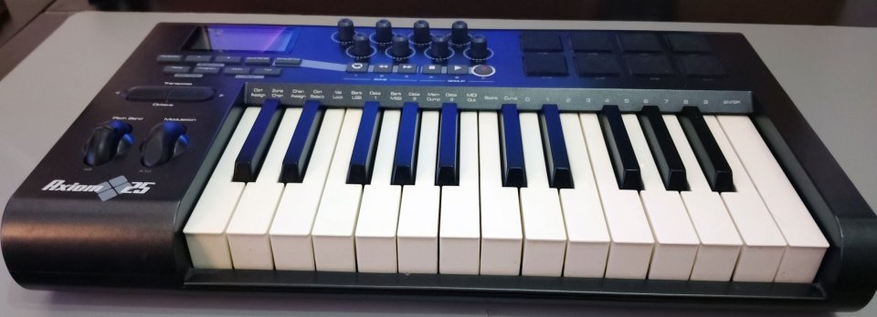 M-Audio Axiom 25 de segunda mano · Foto 4 de 8 · Valencia · 45 €