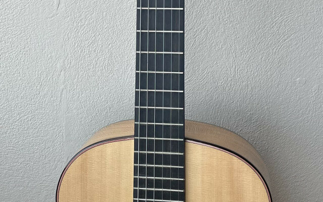 Flamenca Valeriano Bernal Especial