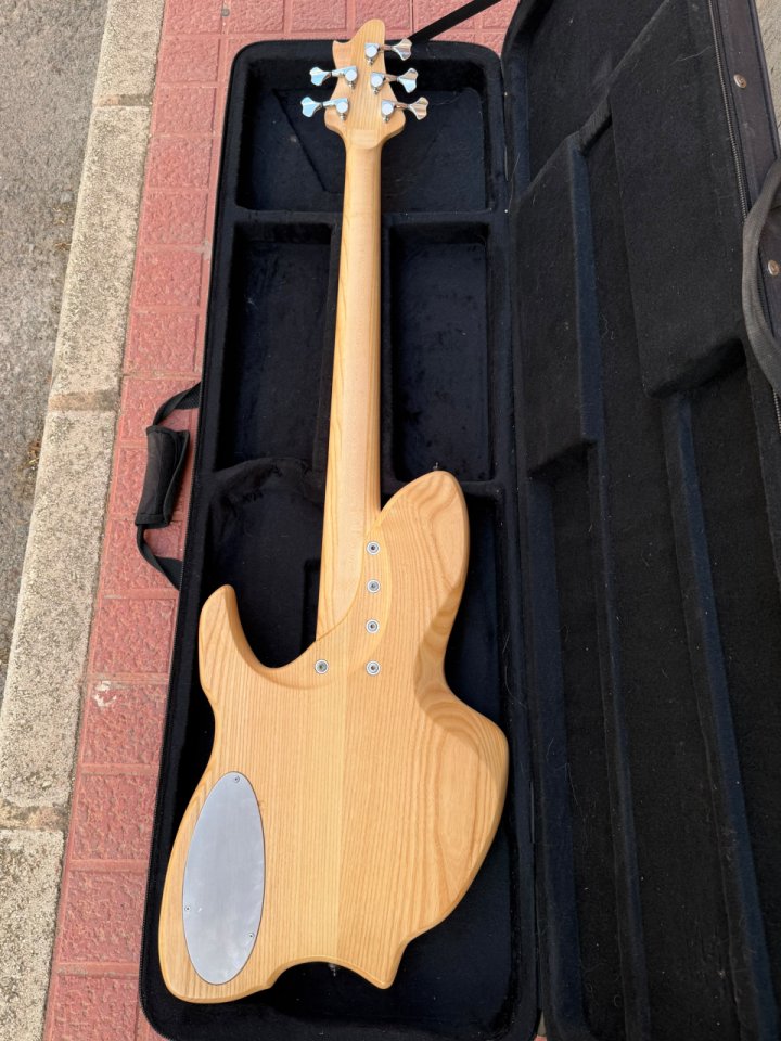 Vender o Cambio - Pasini 5 de segunda mano · Foto 2 de 7 · Alicante · 2200 €