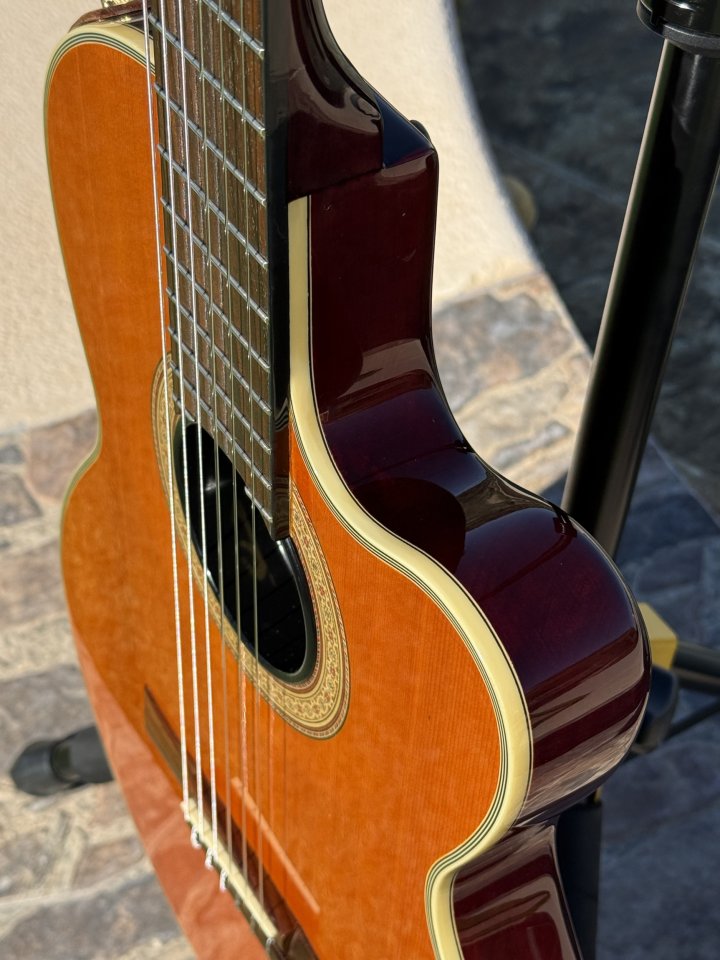 Guitarra Epiphone Chet Atkins Nylon