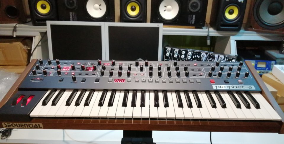 Sequential Prophet 6 no Focusrite
