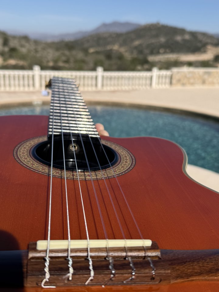 Guitarra Epiphone Chet Atkins Nylon