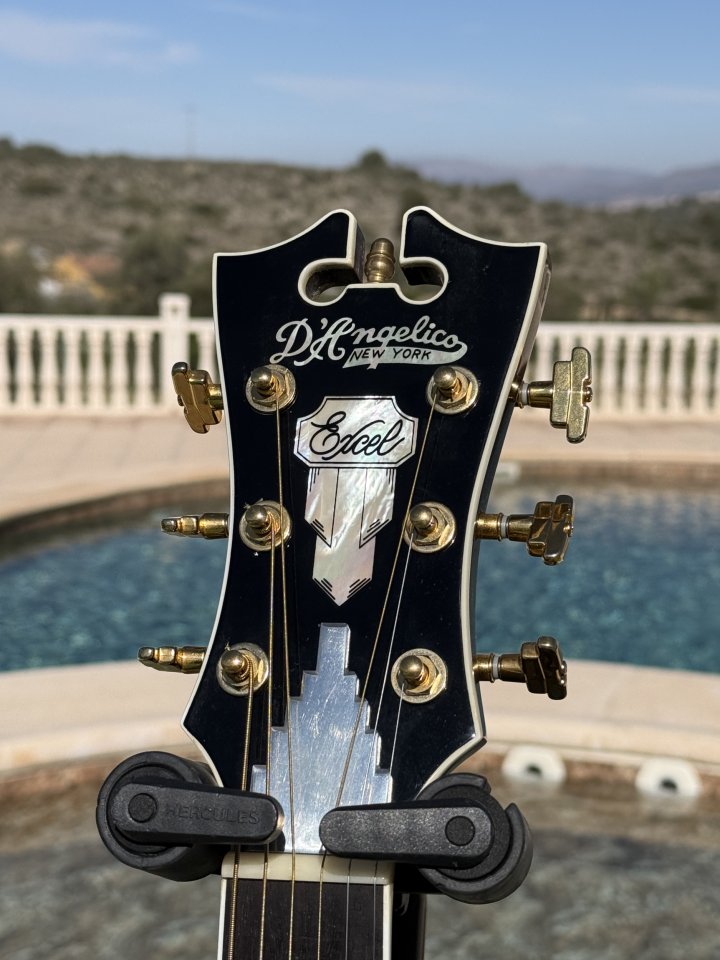 Guitarra acústica D'Angelico EXG200 Excel Grand Concert