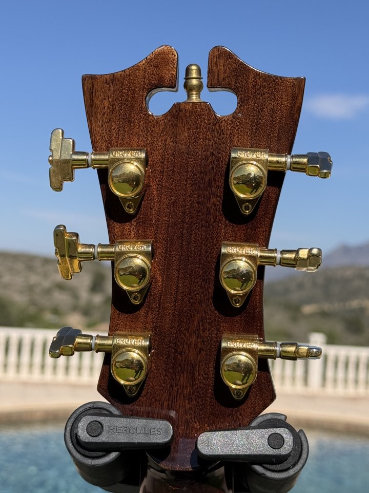 Guitarra acústica D'Angelico EXG200 Excel Grand Concert