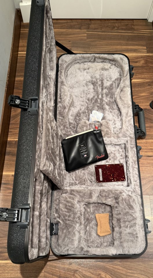 Fender Stratocaster Ultra HSS Rebajo voy detrás de una cosilla