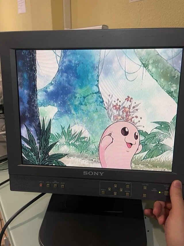 Monitor TV Sony Profesional LMD 1410 Retro