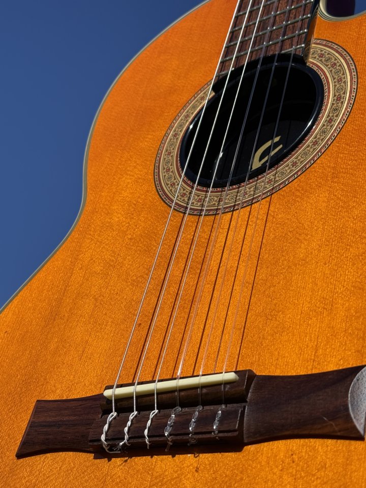 Guitarra Epiphone Chet Atkins Nylon