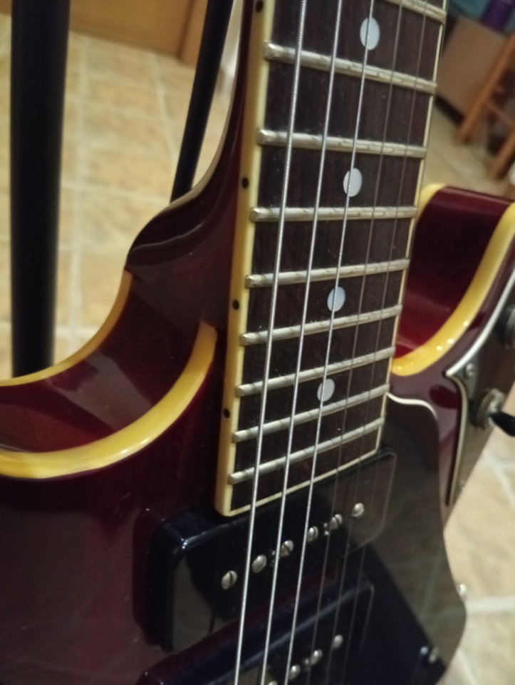 REBAJADA//Yamaha TVL SA 503 Troy Van Leeuwen de segunda mano · Foto 2 de 5 · Valencia · 550 €