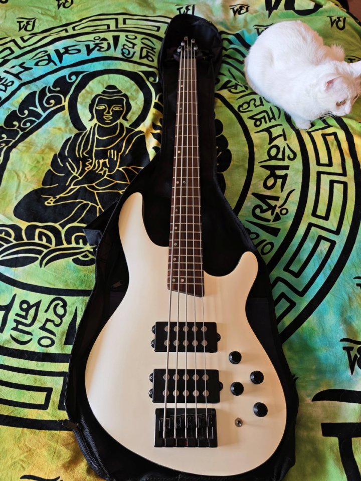 Bajo Cort CH5 Artisan Pearl White de segunda mano · Foto 1 de 8 · Madrid · 200 €