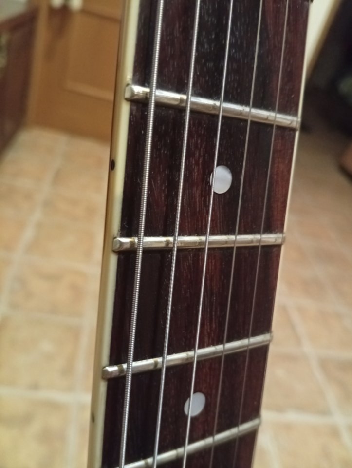 REBAJADA//Yamaha TVL SA 503 Troy Van Leeuwen de segunda mano · Foto 4 de 5 · Valencia · 550 €