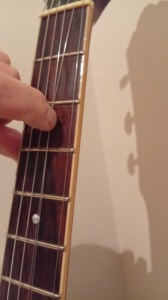 REBAJADA//Yamaha TVL SA 503 Troy Van Leeuwen de segunda mano · Foto 5 de 5 · Valencia · 550 €