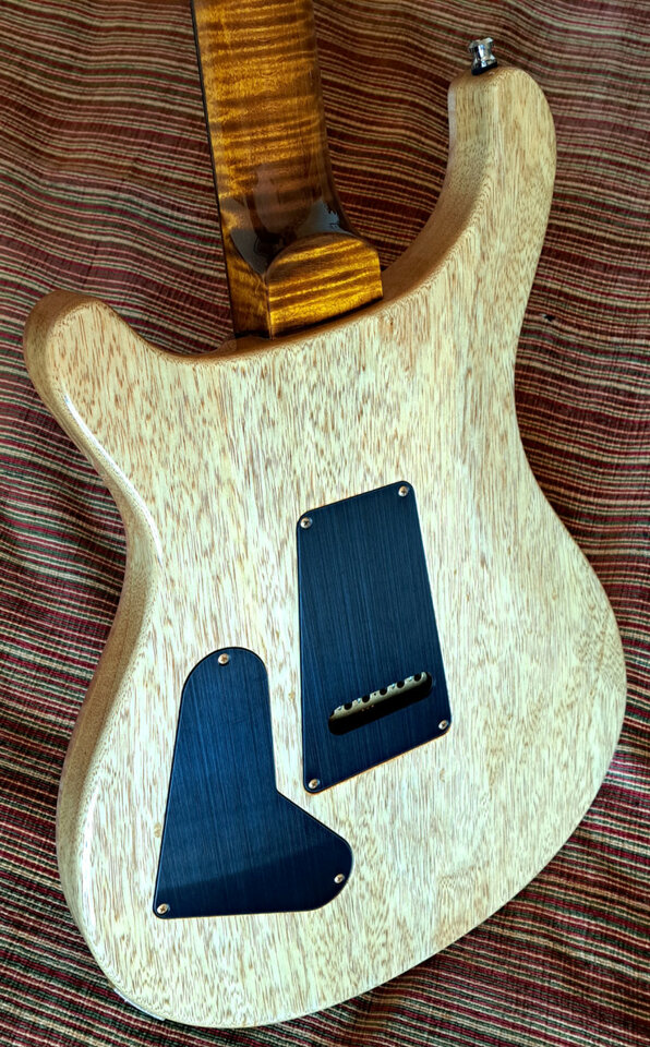 CAMBIOS, PRS Wood Library, limited Edition,10 Top