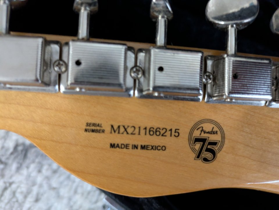 Fender Telecaster Vintera