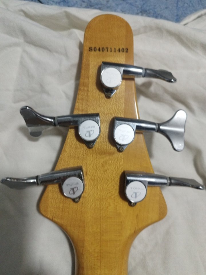 Bass tune twb-5 serie wood custom