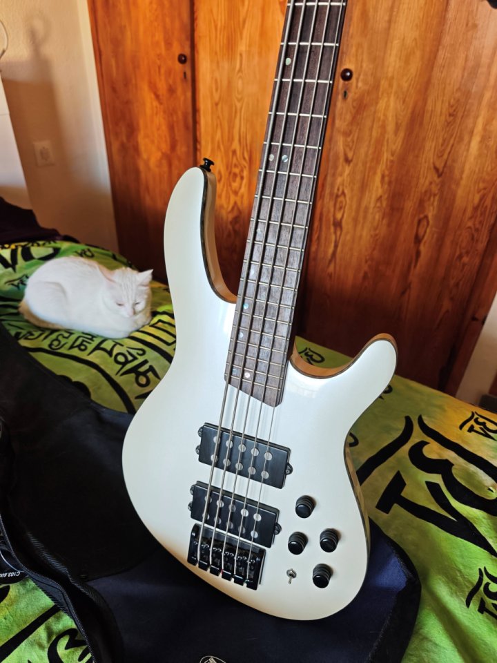 Bajo Cort CH5 Artisan Pearl White de segunda mano · Foto 8 de 8 · Madrid · 200 €