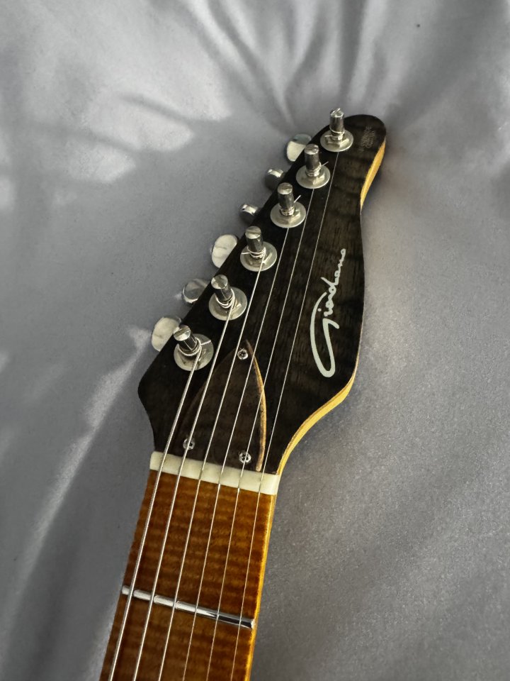 Guitarra Luthier Michele Giordano