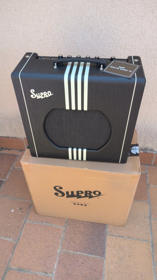 SUPRO DELTA KING 12 de segunda mano · Foto 1 de 5 · Segovia · 475 €