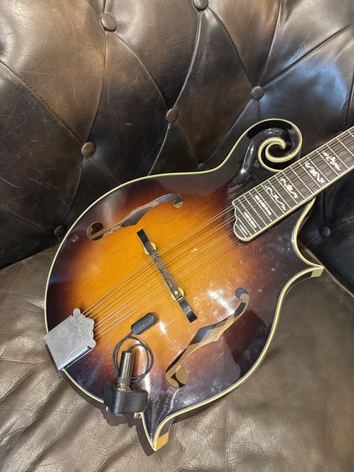 Mandolina F-Style Alvarez A-800 "Gitanes" + LR Baggs Radius (Mejorada) de segunda mano · Foto 1 de 2 · Pontevedra · 595 €