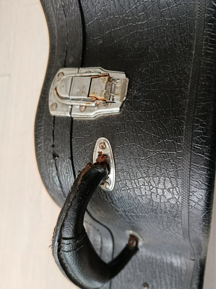 Estuche guitarra Taylor de segunda mano · Foto 5 de 6 · Cantabria · 60 €